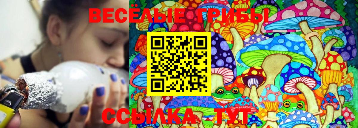 Псилоцибиновые грибы мицелий  Вход с VPN  Рассказово 