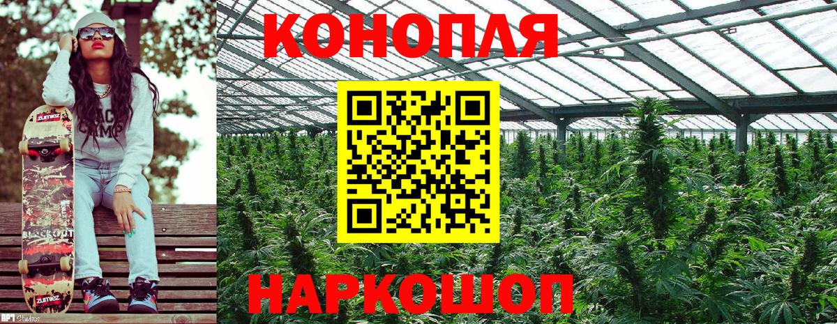 Марихуана VHQ  Вход с VPN  Бошки марихуана гибрид  Рассказово  Марихуана OG Kush 